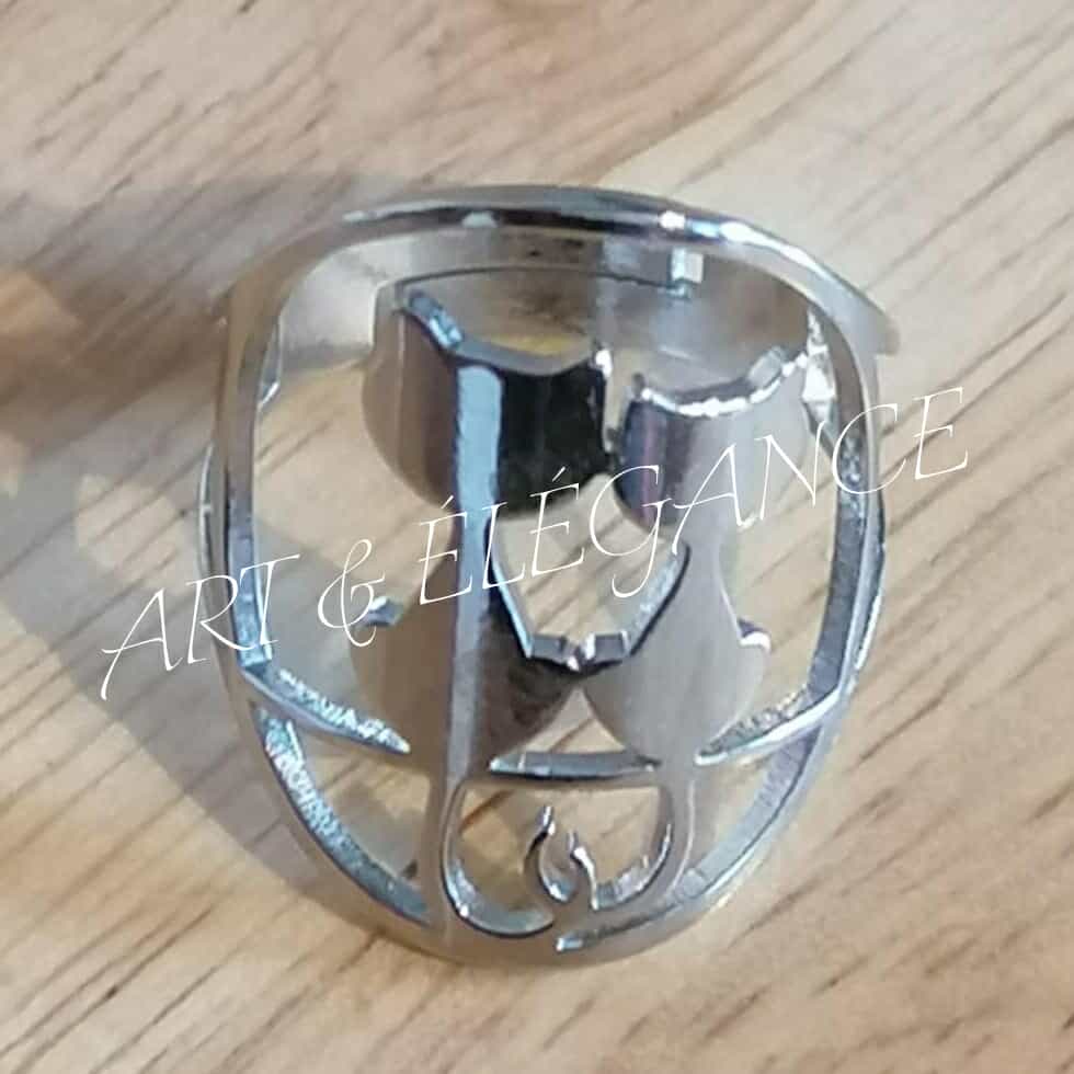 🐾 Cristianne Duo de Chats en Argent 🐾