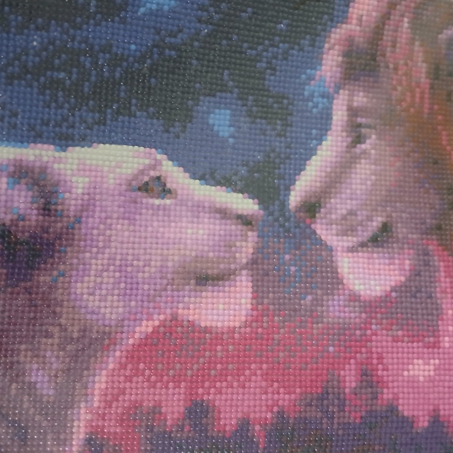 đŠ Diamond Painting â Lion et Lionne