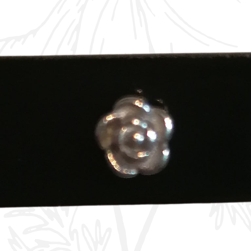 ✨Piercing lèvre