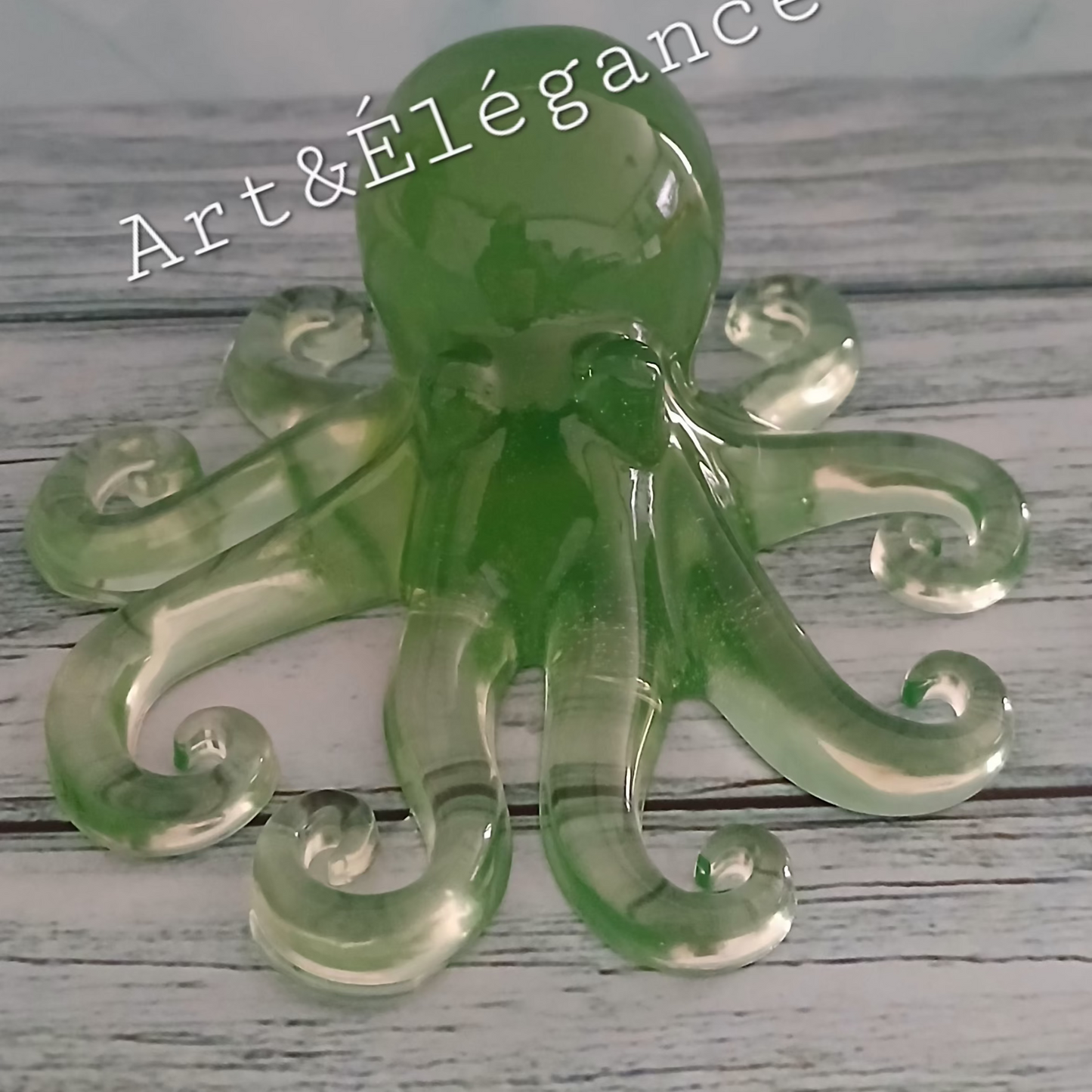 ✨Résine epoxy fait main pieuvre