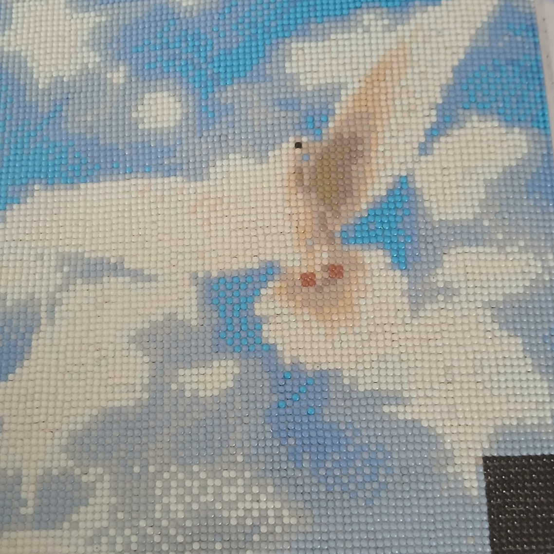 đïž Colombe Blanche