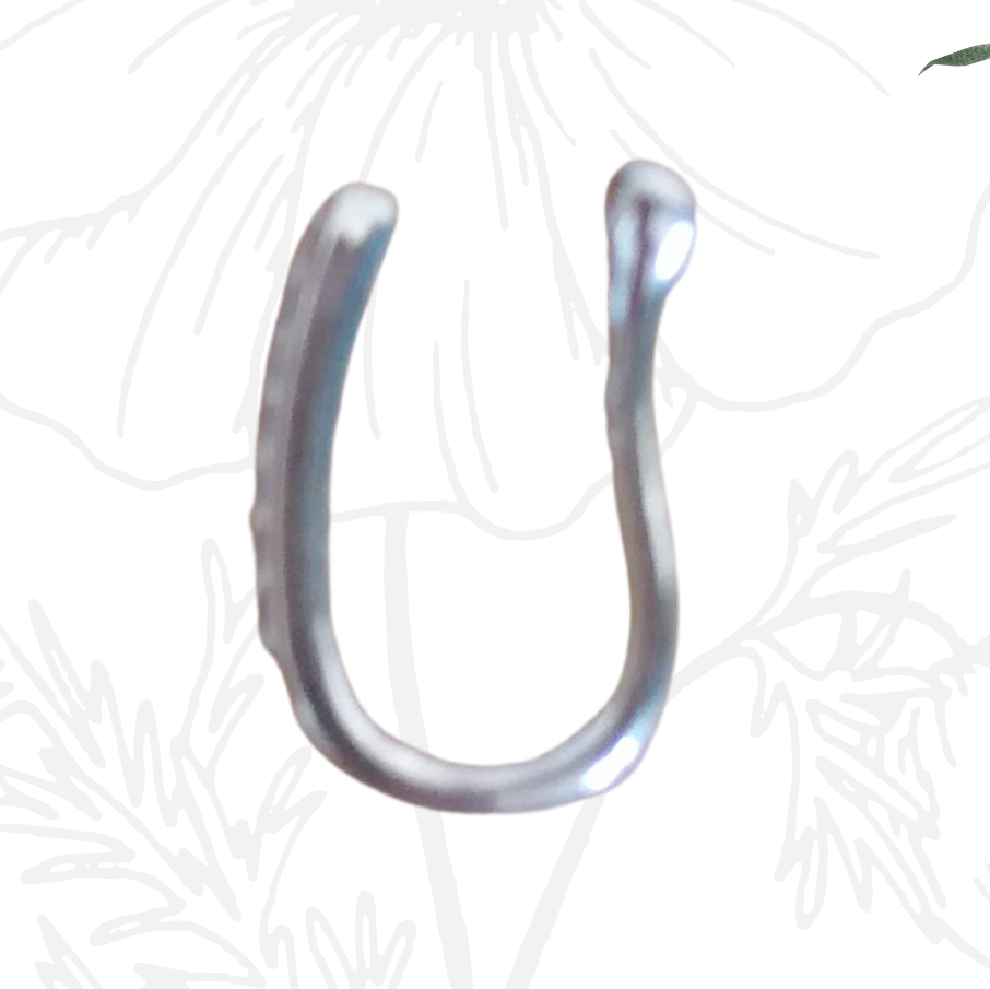 ✨Piercing nez en u