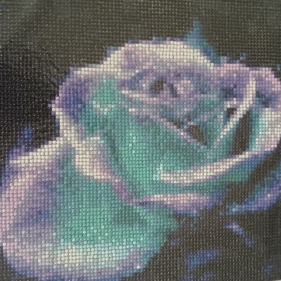 đč Rose Bleu-Violette