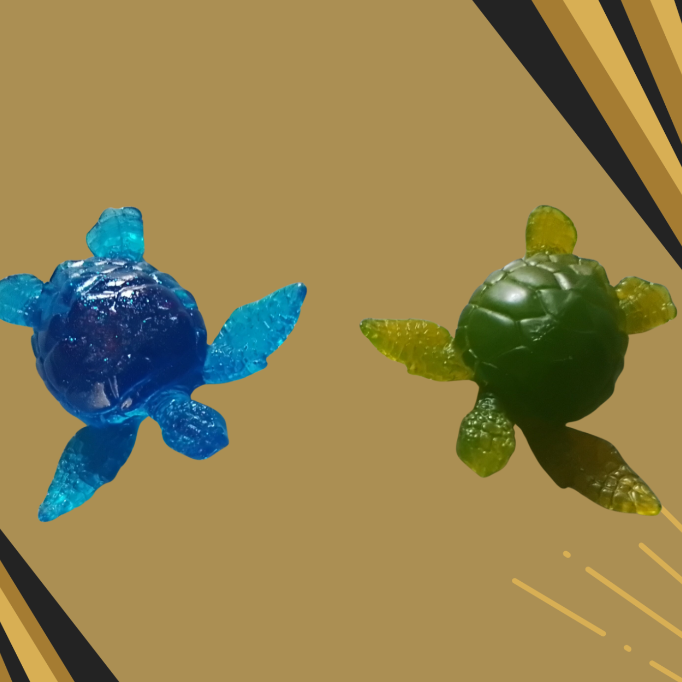 ✨Tortue résine