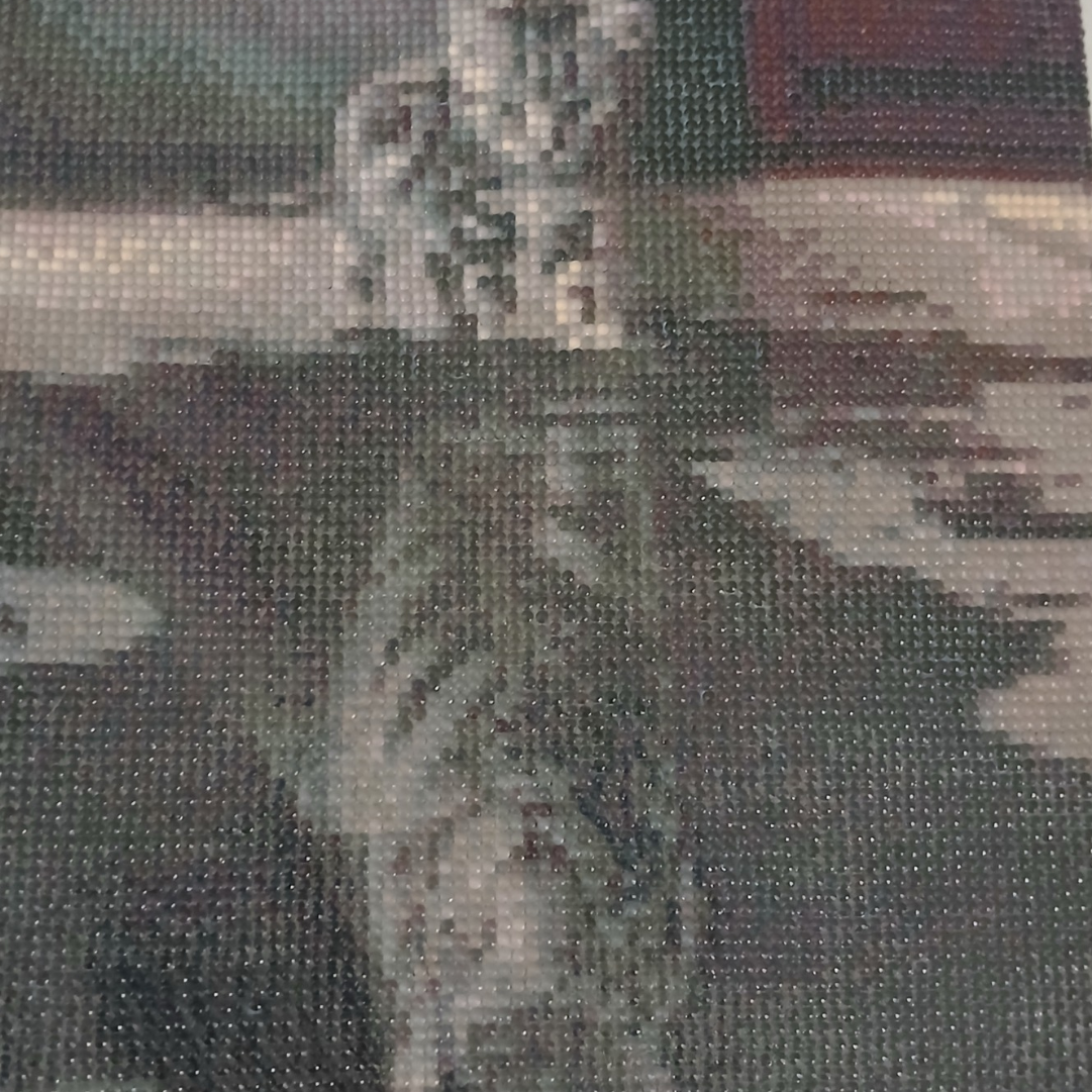 đ±đŻ Chat et Tigre