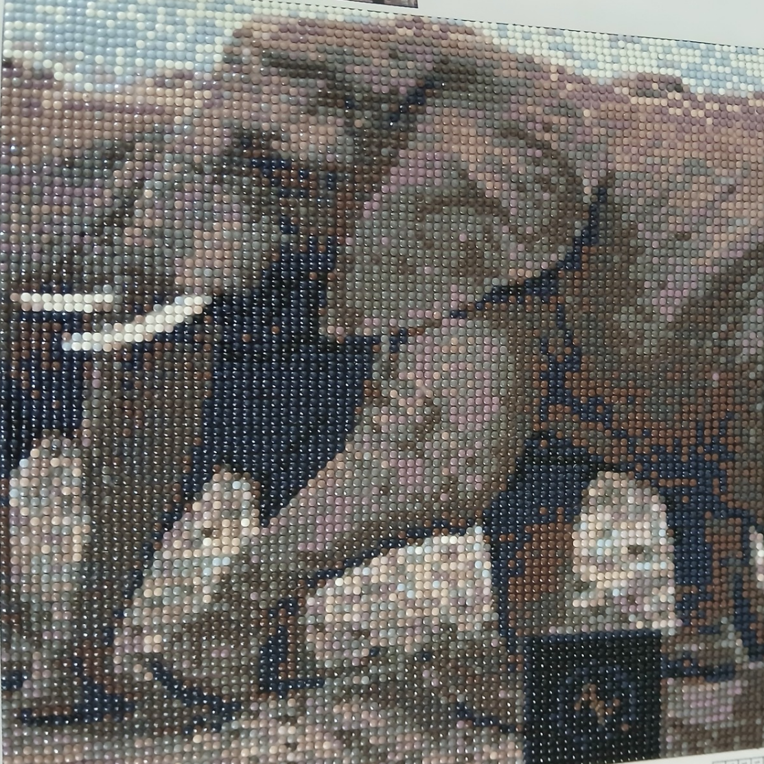đ Diamond Painting â ĂlĂ©phants