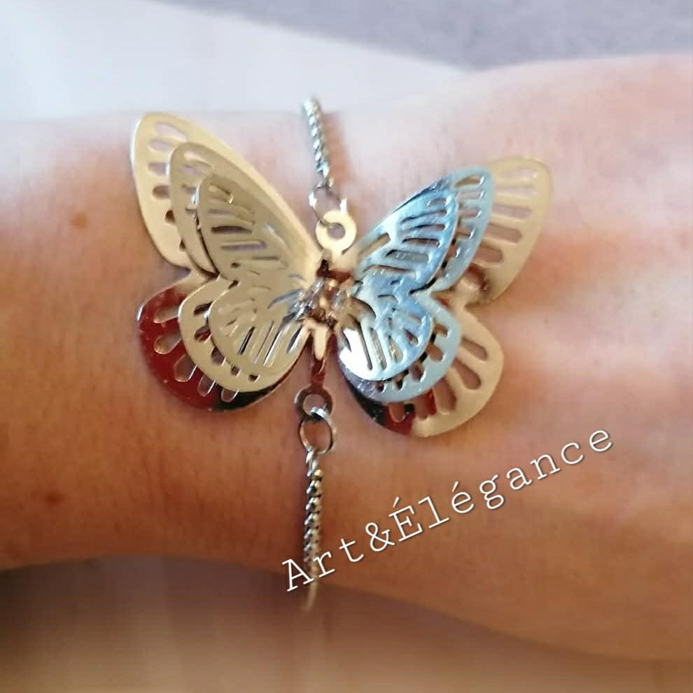 ⭐️Papillon💕