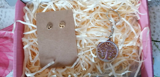 🌙 Coffret “Éclat Argenté” – Élégance au quotidien ✨