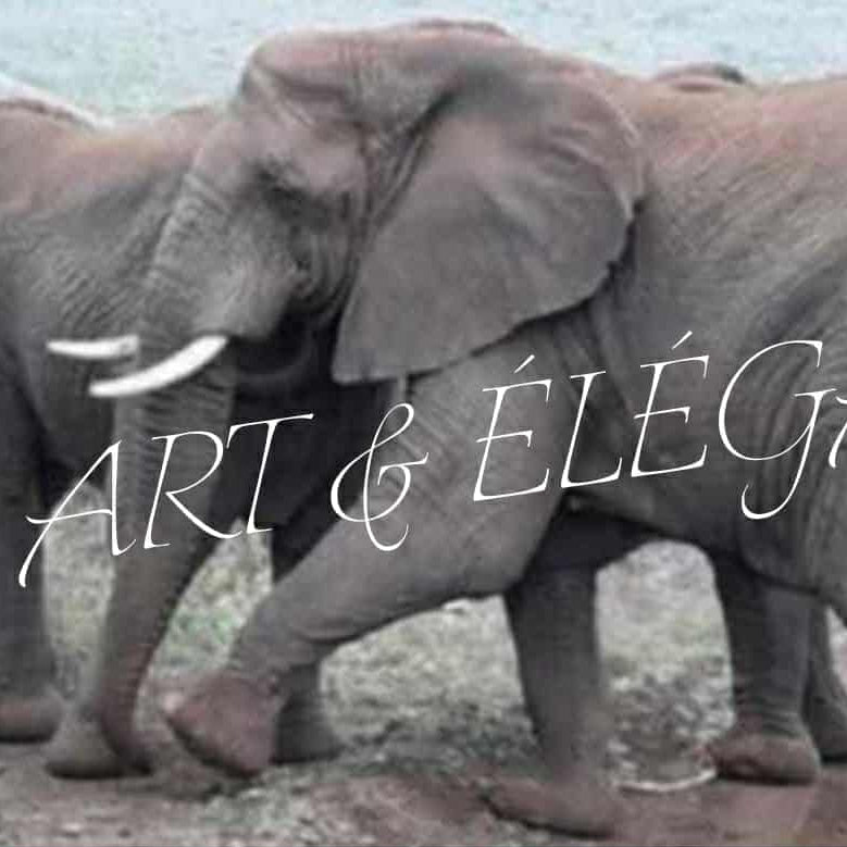 🐘 Éléphants en Bord de Mer 🌊✨