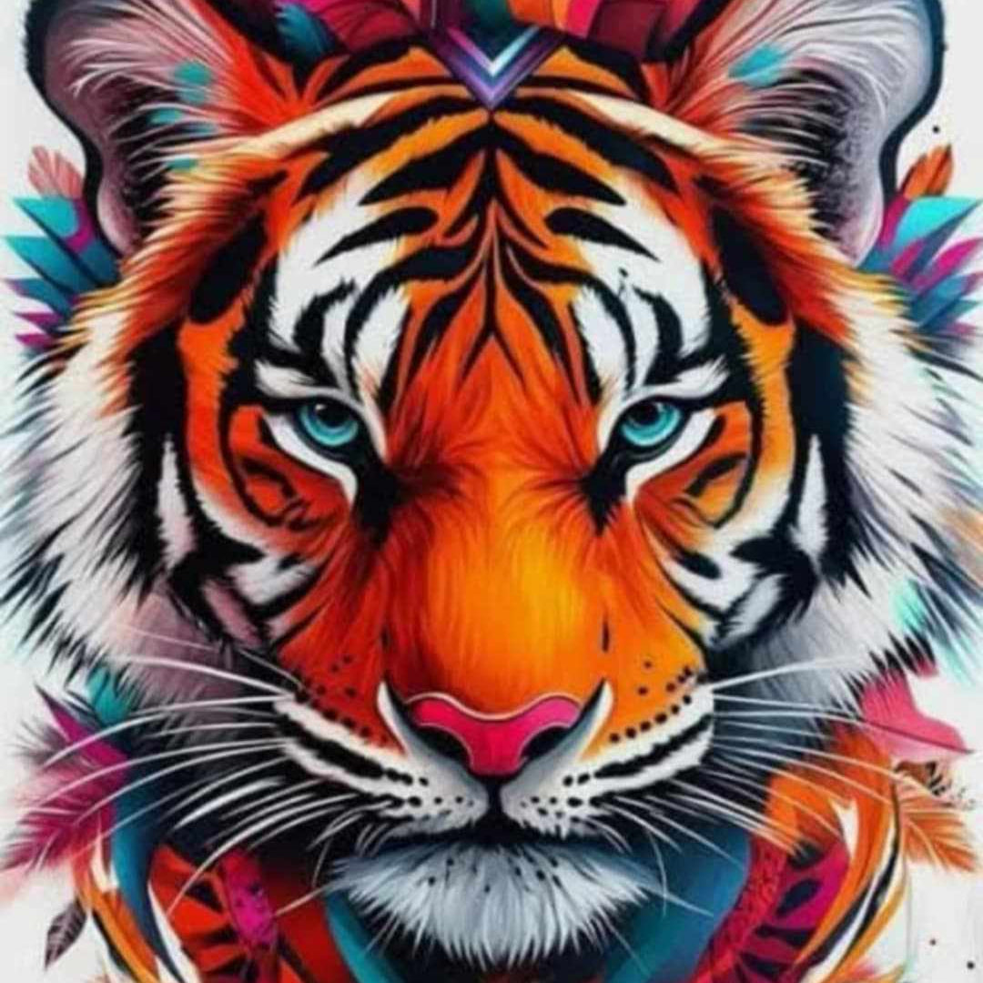 Tigre couleur