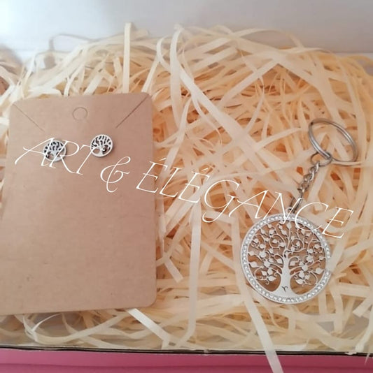 🌙 Coffret “Éclat Argenté” – Élégance au quotidien ✨