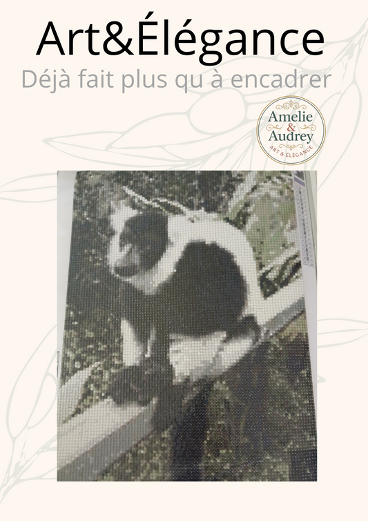 Déjà fait