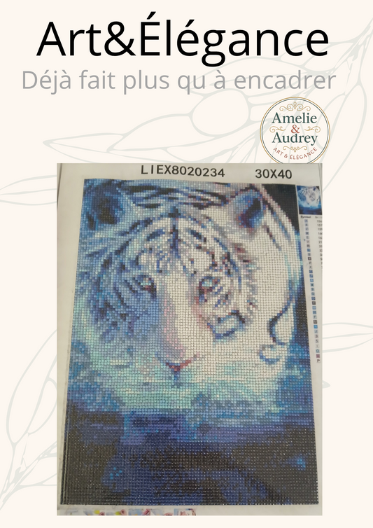 Déjà fait