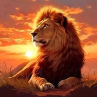Point de croix lion