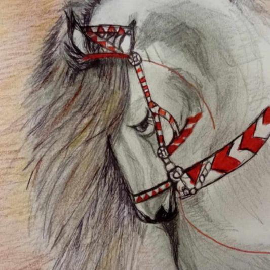 Cheval élégant