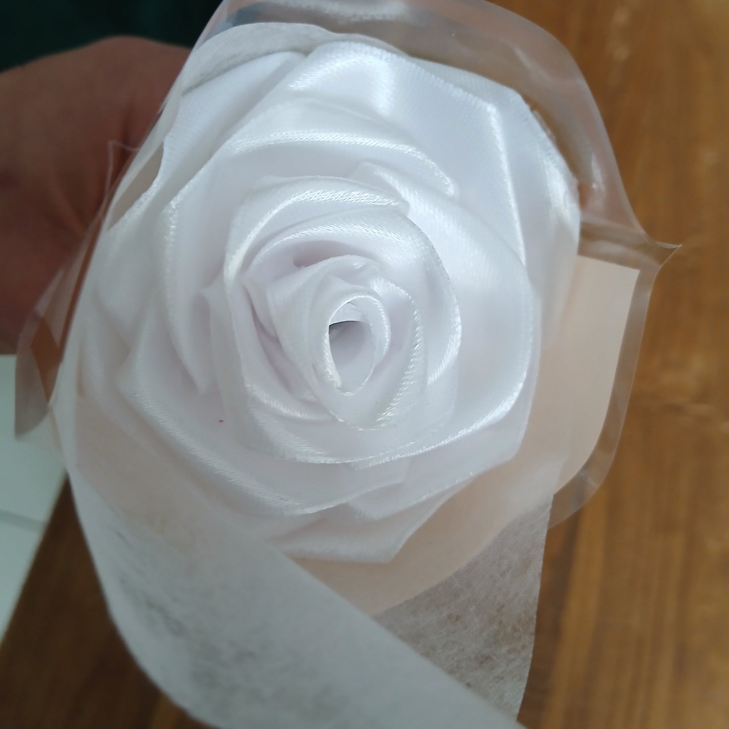 Rose blanche