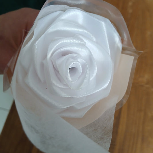Rose blanche