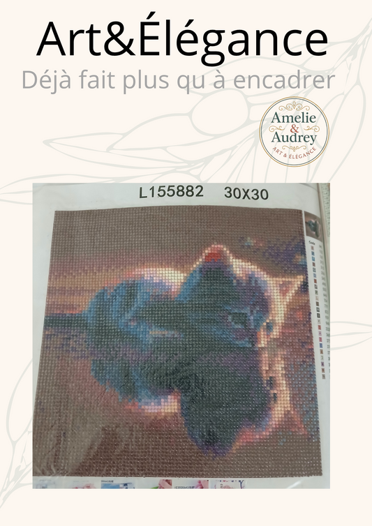Déjà fait
